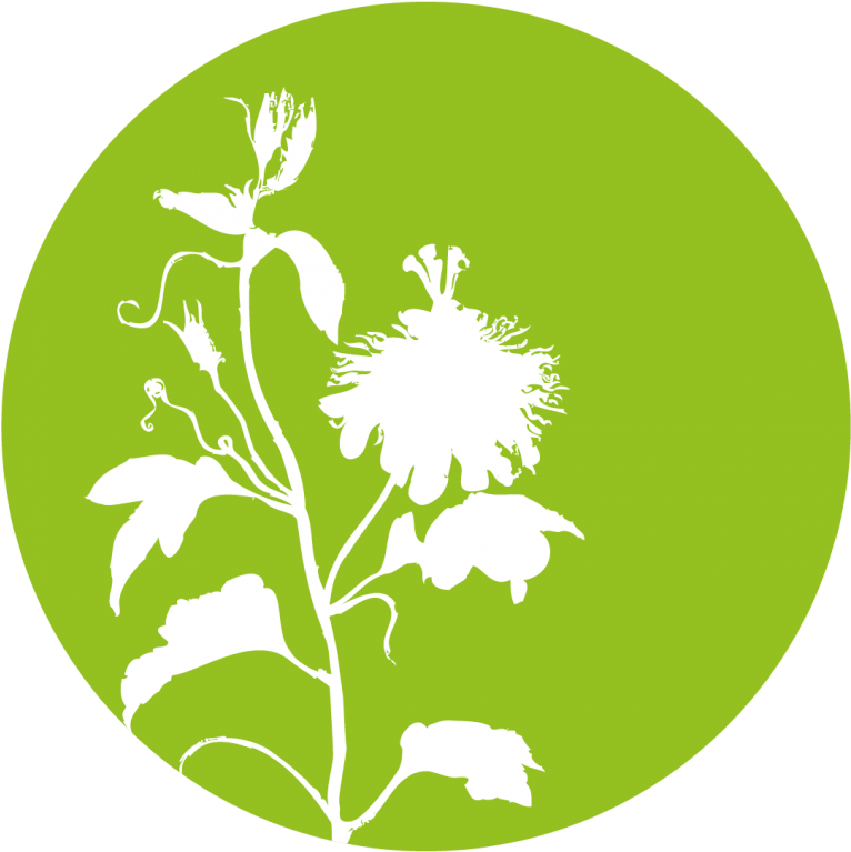 Viola Odarata Leaf Liquid Extract - Marsh Mallow (765x937)