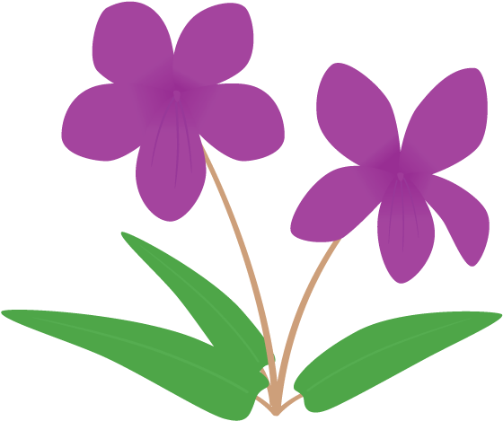 スミレ - 春の 花 イラスト フリー (700x490)