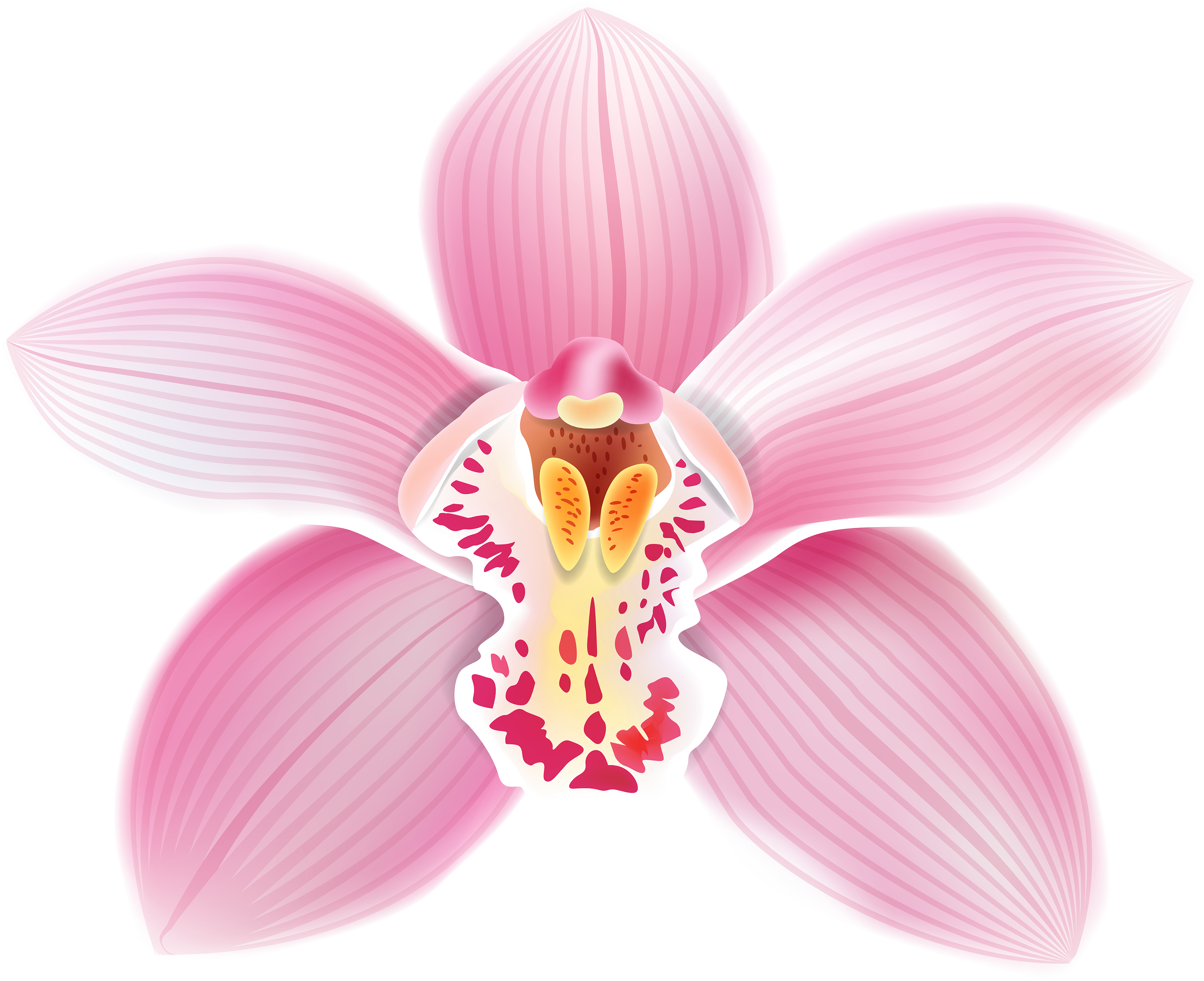 Pink Orchid Png Clipart Best Web Clipart - Orchids Clipart (3000x2509)