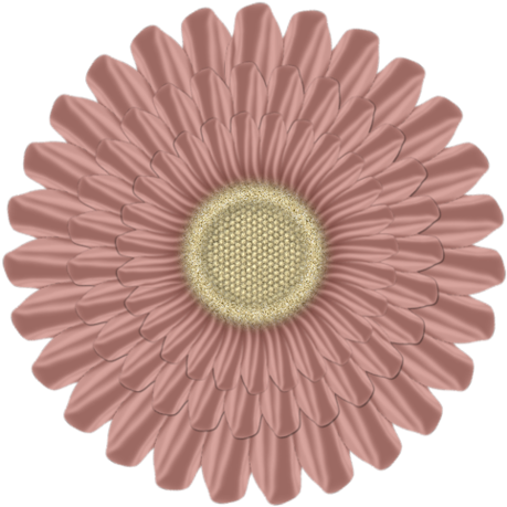 Explora Flores De Papel, Flores De Arte, ¡y Mucho Más - Pregnancy Announcement Cookie Cake (500x500)