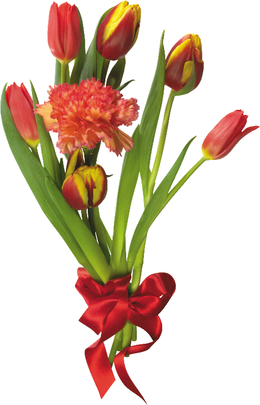 Flower Bouquet Tulip Clip Art - Flower Bouquet Tulip Clip Art (513x800)