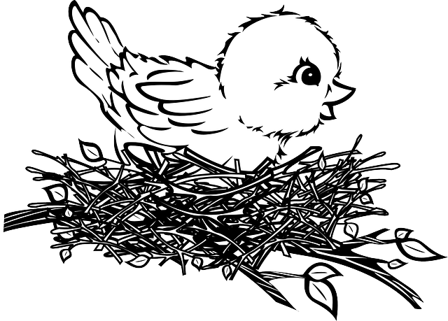 Black And White Train - Bird In Nest Drawing (640x459)