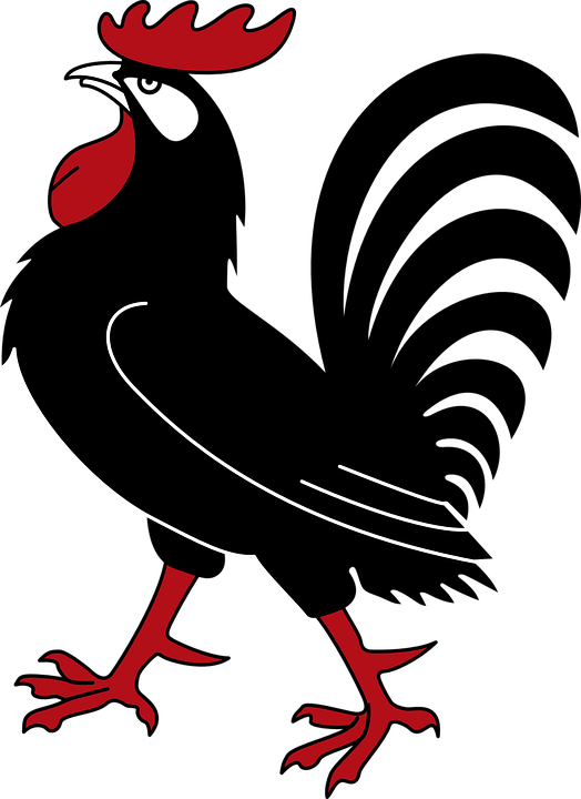 Red Bird Clipart 17, - Black Rooster Cartoon (524x720)