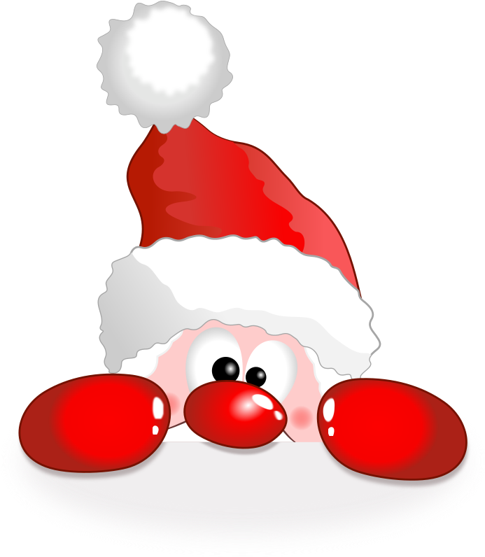 Free Funny Santa - Funny Santa Oval Ornament (708x800)