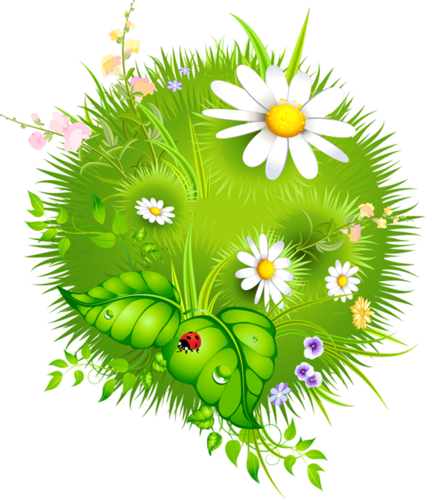 Fleurs - Page - Príroda Clipart (600x704)