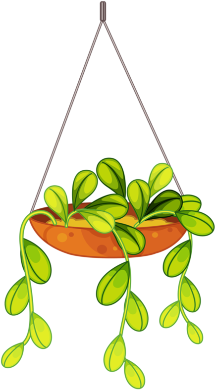 Flores Penduradas, Arte Flor, Folhas Para Colorir, - Hanging Flower Basket Cartoon (448x800)