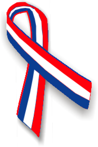 Most Popular Categories - Red And Blue Ribbon (334x500)