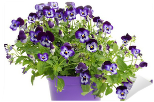 Wishing Well (400x400)