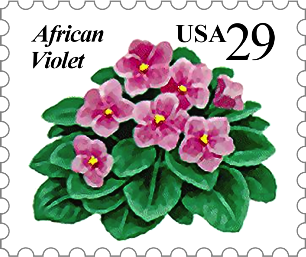 Offered By The African Violet Society Of America, Inc - African Violets (1200x1200)