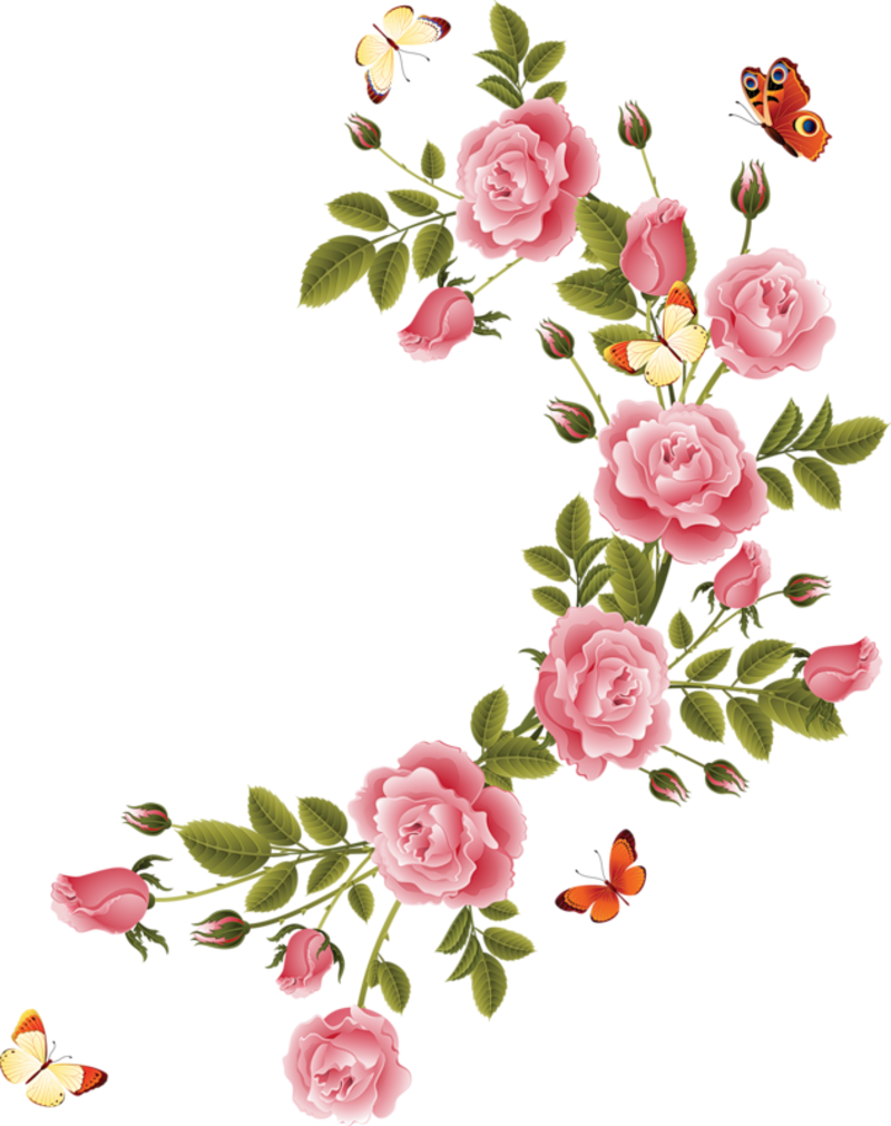 Clip Art - Fleurs Png (800x1011)