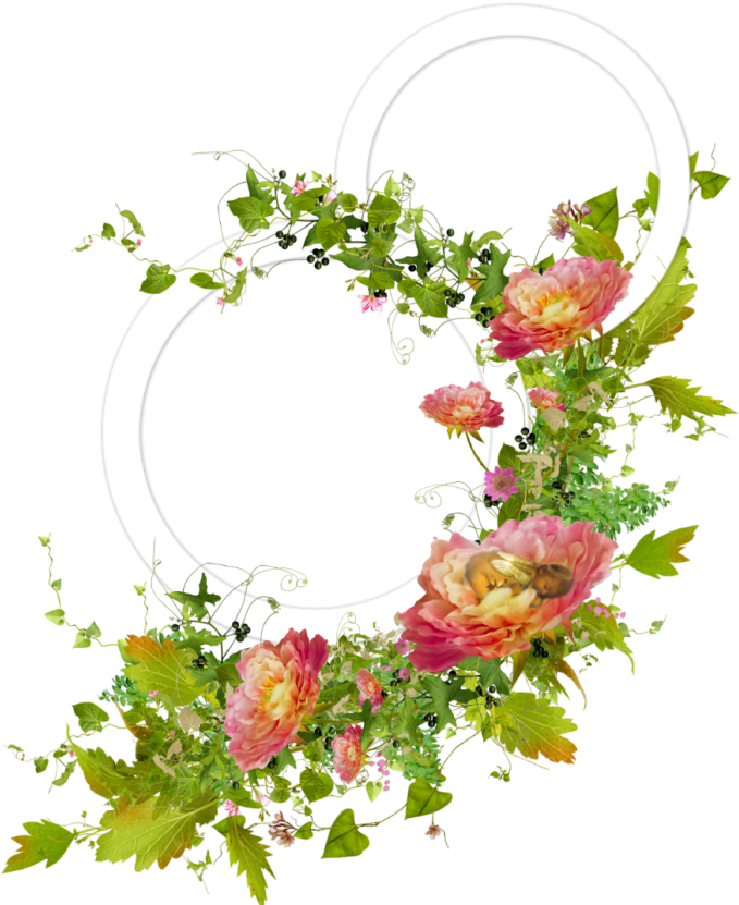 Picture Frames Clip Art - Picture Frames Clip Art (776x1024)