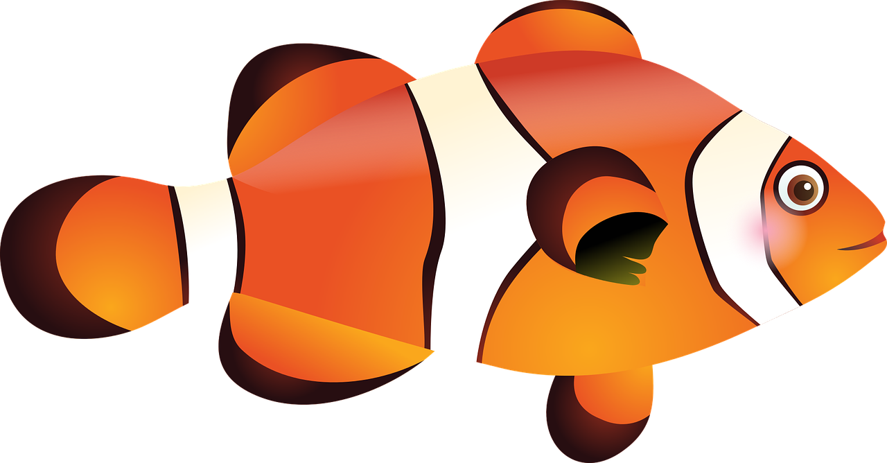 Draw A Simple Fish - Peces De Mar Png (1280x668)