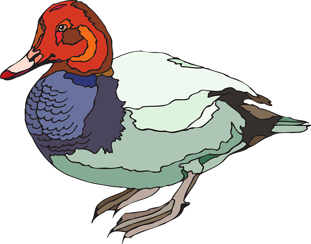 Red, Green, Blue, Bird, Duck, Wings, Colored, Standing - Green (640x502)