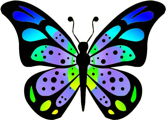 How To Draw A Realistic Butterfly Youtube - Butterfly Drawing (591x492)