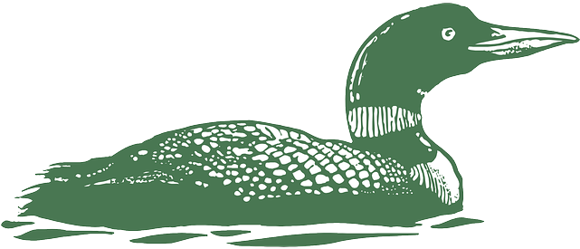 Green, Bird, Duck, Color, Swimming, Wings, Art - Loon Vector (640x320)