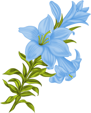 Gd Ss Flowers5 - Flower (313x400)