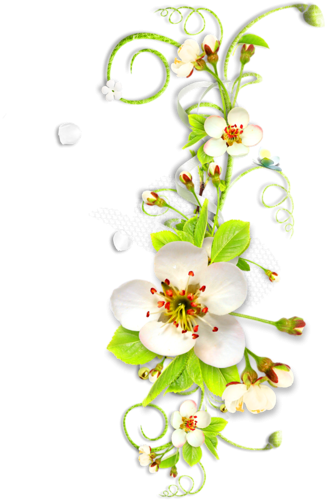 Trouvé Sur Http - White Seed Bead Necklace With Pearl - Choker Beaded (325x500)
