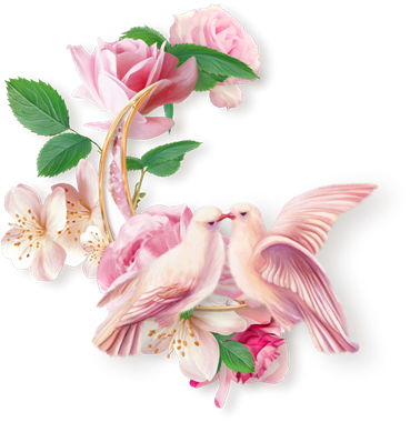 Watercolor Floral Clipart Watercolor Flowers Floral - Cluster Flowers Frames Png (369x380)