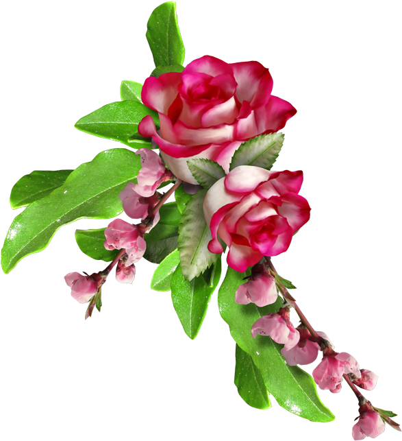 Garden Roses Floral Design Flower Clip Art - Garden Roses Floral Design Flower Clip Art (600x656)