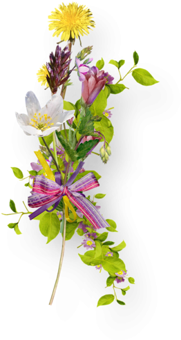 Trouvé Sur Http - Png Printemps (271x500)