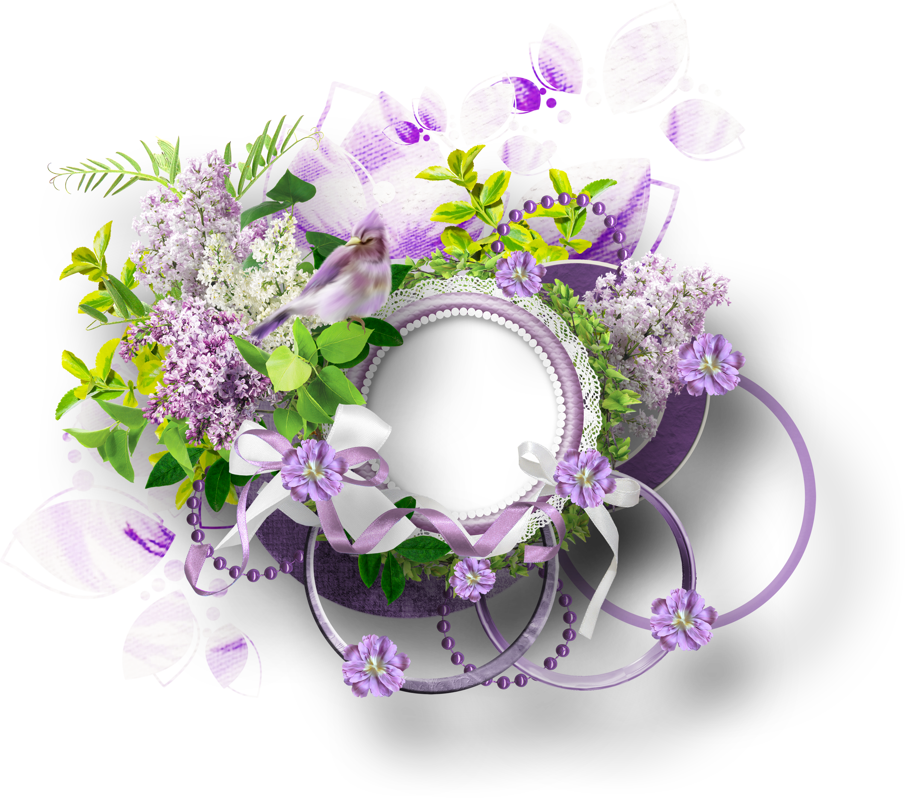 Border Flowers Photography Clip Art - Border Flowers Photography Clip Art (3024x2668)