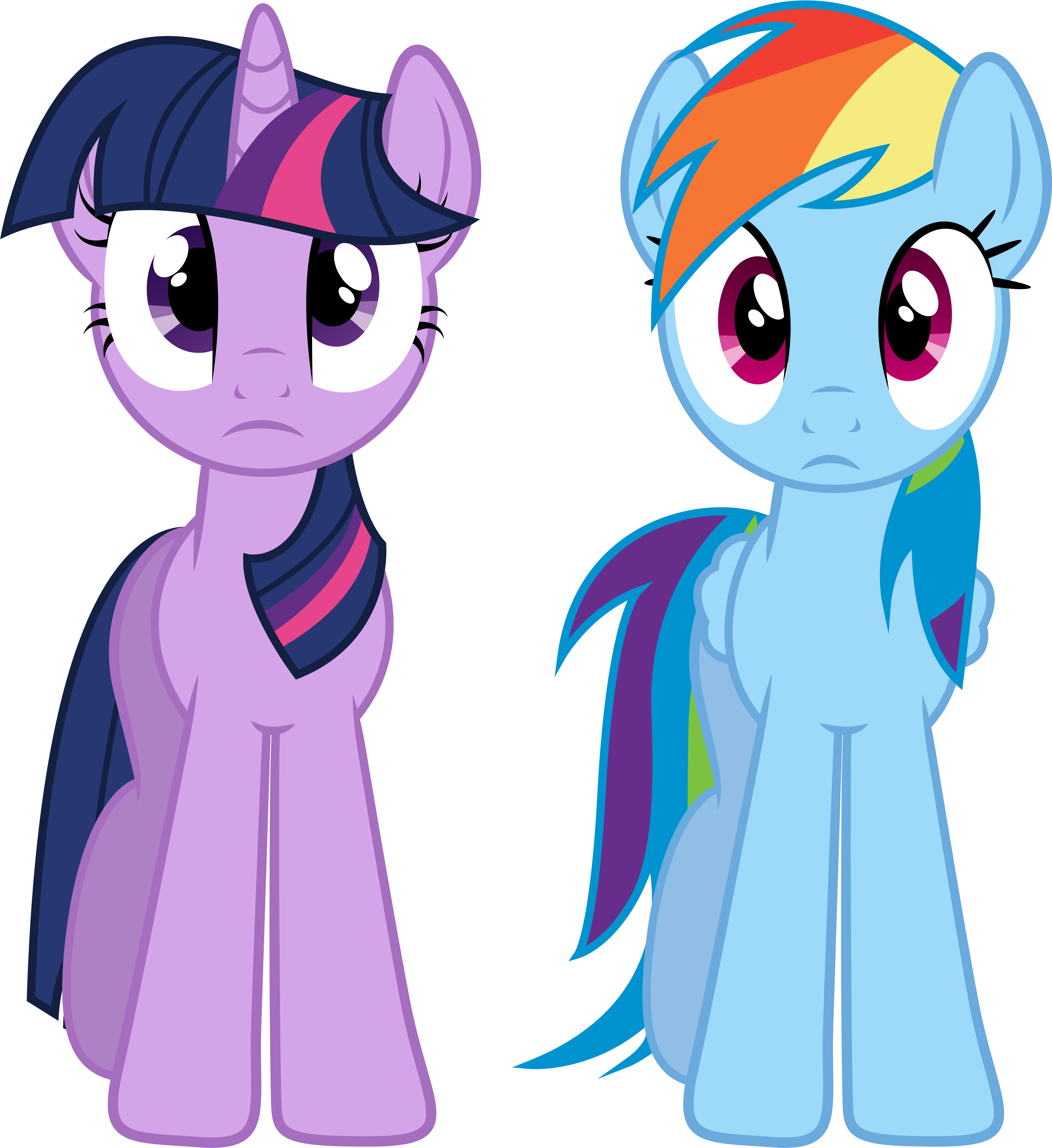 Twilight And Rainbow Dash By Paulysentry - Mlp Twilight X Rainbow Dash (5525x5341)