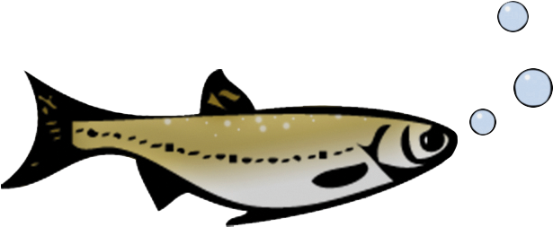 Can You Draw - Lunge (635x264)