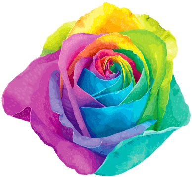 Rainbow Flower - Rainbow Rose Png (400x400)