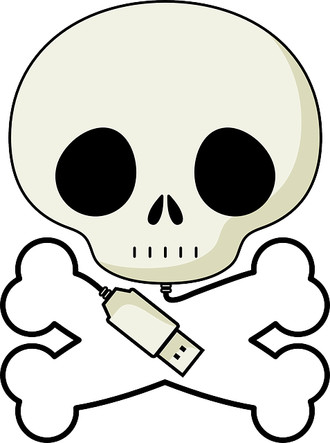 Death's Head, Skull, Crossbones, Pirate, Plug, Usb - Skull And Crossbones (477x640)
