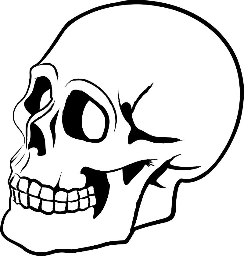 Skull Png - Skull Vector Png (800x840)
