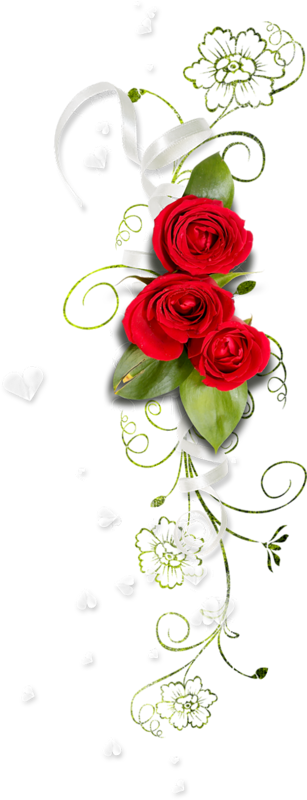 Publicat De Eu Ciresica La - Garden Roses (307x800)