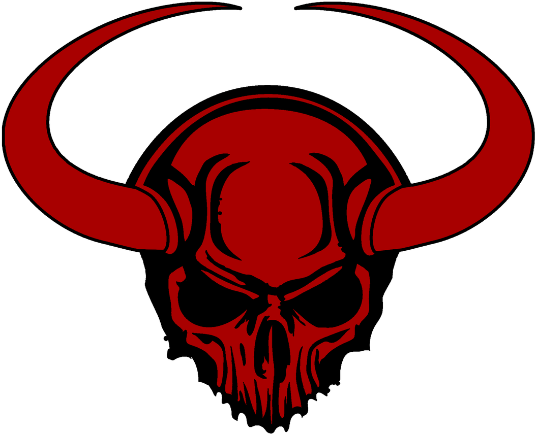 Nifhelheim Esports On Twitter - Skull (1200x1200)