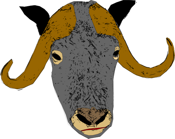 Custom Yak Shower Curtain (600x477)