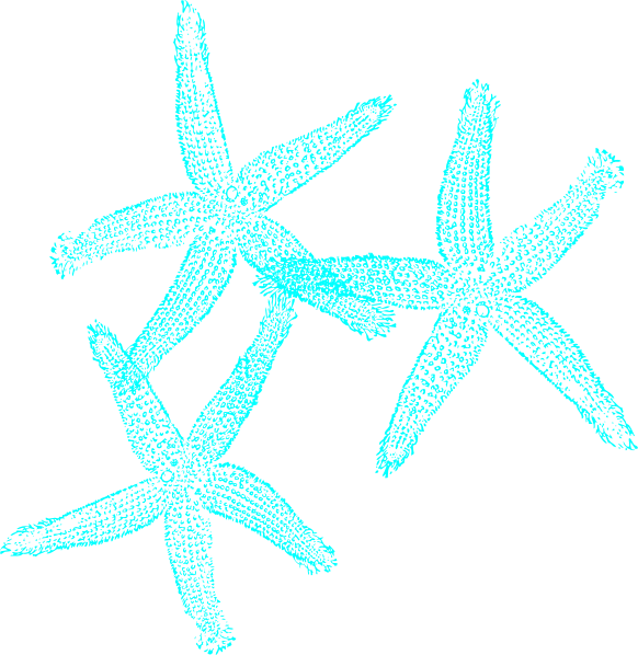 Aqua Flower Clip Art At Clkercom Vector Online - White Flower Outline Png (582x598)