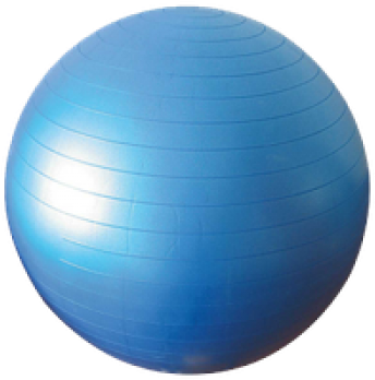 Physiotherapy Ball (350x350)