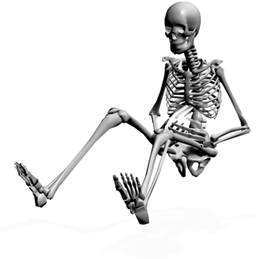 Skeleton Png Image - Skeletons Png (400x408)