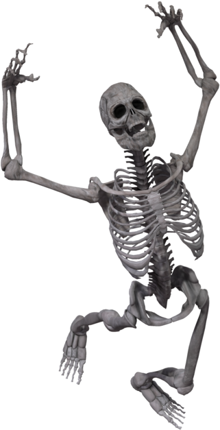 Skeleton Png - Skeleton (1024x645)