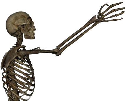 Human Skeleton Arm Bone Clip Art - Human Skeleton Arm Bone Clip Art (600x500)