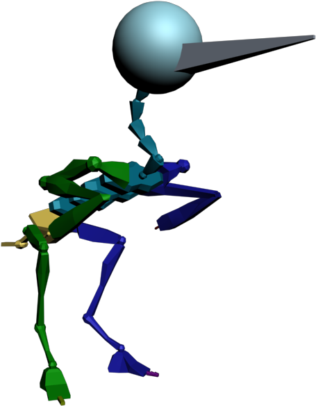 Bird Skeleton Research - Illustration (800x600)