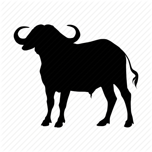 Buffalo, Cape, Zoo Icon Icon Search Engine - Cape Buffalo Silhouette (512x512)