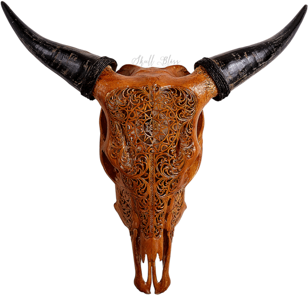 Carved Cow Skull - Carved Cow Skull (645x645)