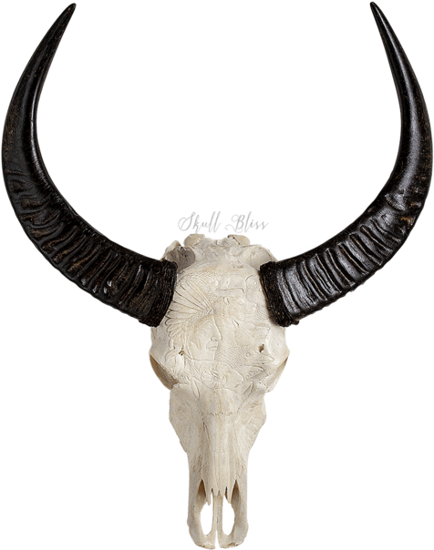 Carved Buffalo Skull - Skull (645x645)