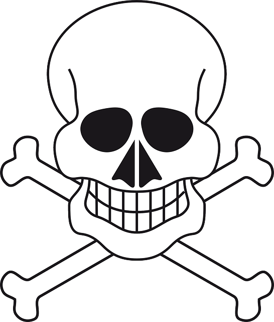 Vector Skull, Skeleton, Pirate, Bones, Vector - Korsan Iskeleti (546x640)
