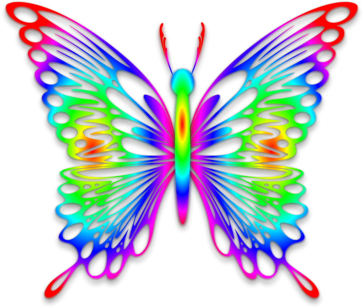 Butter Fly Ranbow Color (1300x1084)