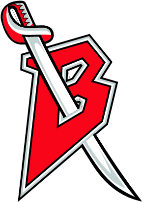 Buffalo Sabres - Buffalo Sabres Alternate Logo (302x428)