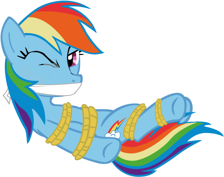 Rainbow Dash By Soupcanz - Mlp Rainbow Dash Kidnapped (1007x793)