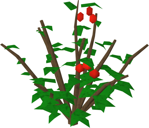 Red Berry - Berry Bush Transparent Background (496x426)