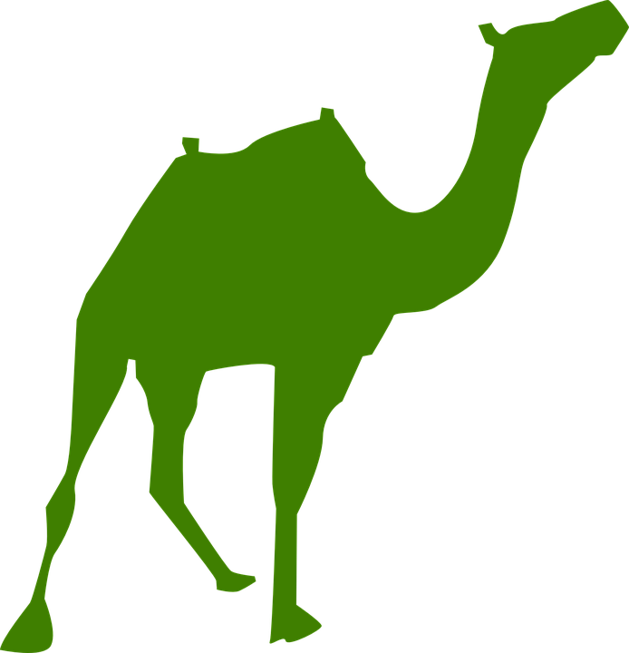 Walking Camel Silhouette Clip Art - Silueta Camello Png (1234x1280)