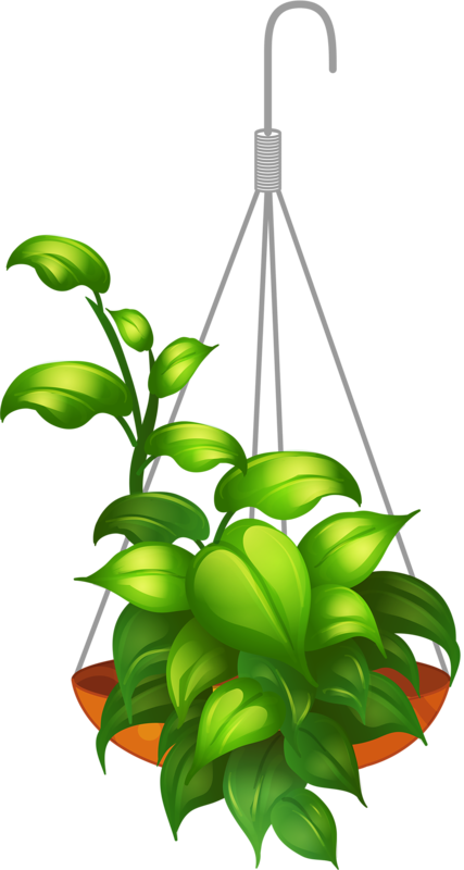 Hanging Flower 2 - Hanging Plants Vector Png (427x800)
