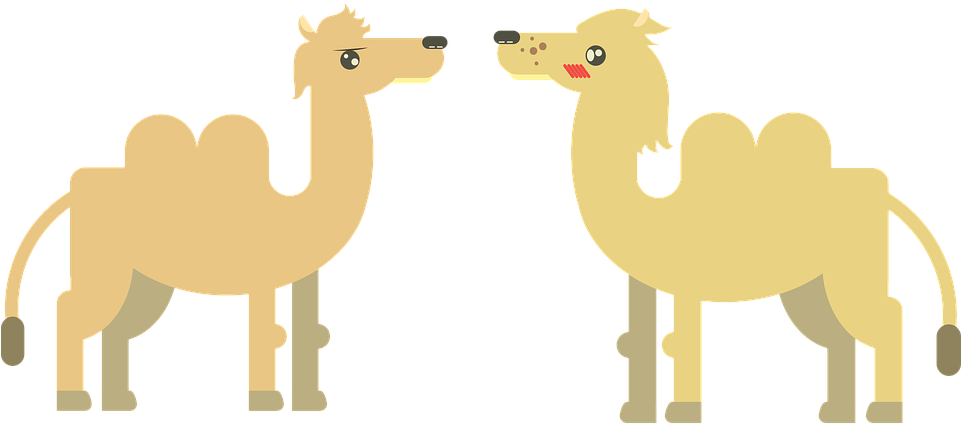 Cheetah Cliparts 28, Buy Clip Art - Vektor Unta Png (960x480)